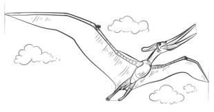 310x163 How To Draw Pteranodon - Pteranodon Drawing