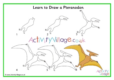 460x326 Learn To Draw A Pteranodon - Pteranodon Drawing