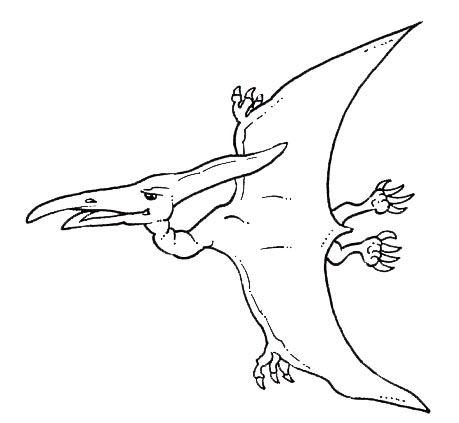 459x423 Pteranodon Coloring - Pteranodon Drawing