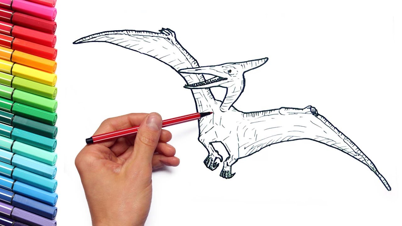 1280x720 drawing and coloring pterodactyl from jurassic parck - Pterodactyl Drawing