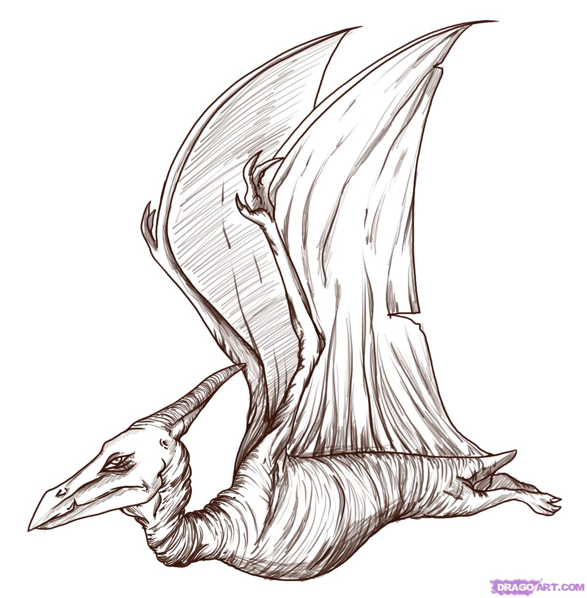 1200x1223 how to draw a pterodactyl, step - Pterodactyl Drawing