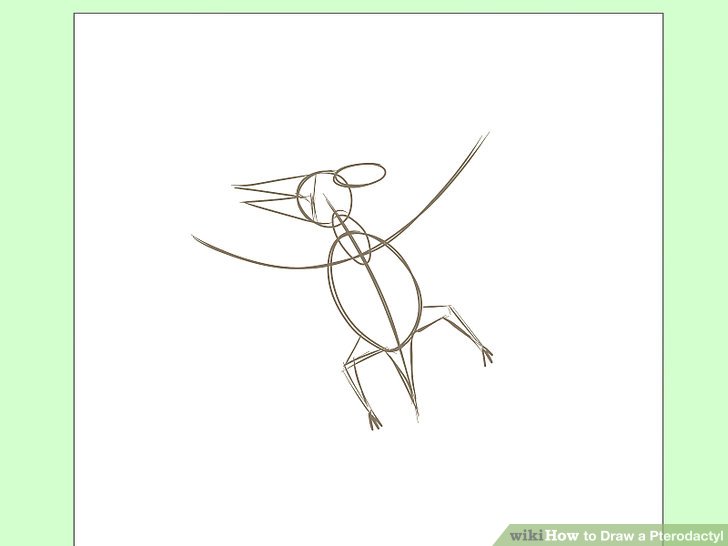 728x546 how to draw a pterodactyl steps - Pterodactyl Drawing