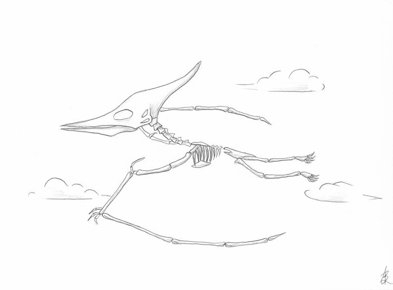 794x586 pterodactyl drawing etsy - Pterodactyl Drawing