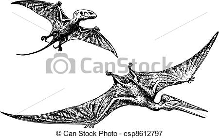 450x285 pterodactyl or pteranodon dinosaur flying on white background - Pterodactyl Drawing