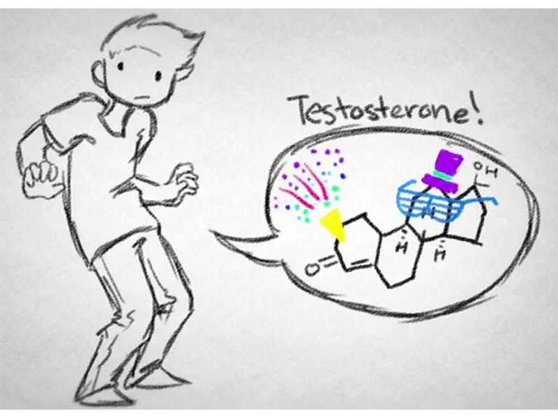 800x600 How To Talk To Your Students About Puberty - Puberty Drawing