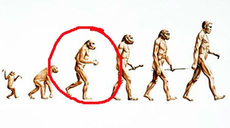 460x256 Animal Puberty Questions - Puberty Drawing