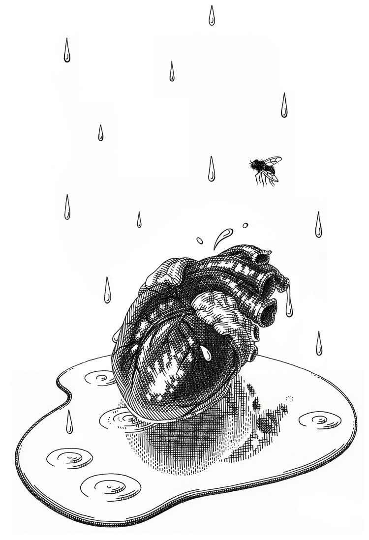 750x1098 Puddle The Heart Chamber Hatch Drawing, Drawings, Art - Puddle Drawing