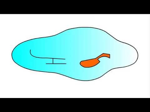 480x360  - Puddle Drawing