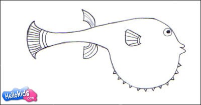 400x209 How To Draw Pufferfish - Puffer Fish Drawing