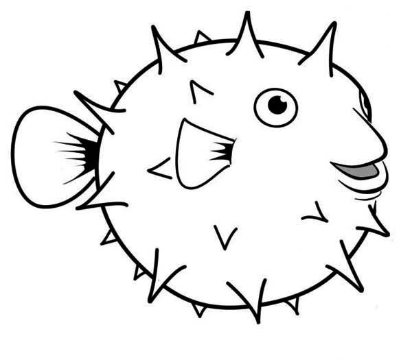 600x525 Puffer Fish, Happy Globefish Puffer Fish Coloring - Puffer Fish Drawing