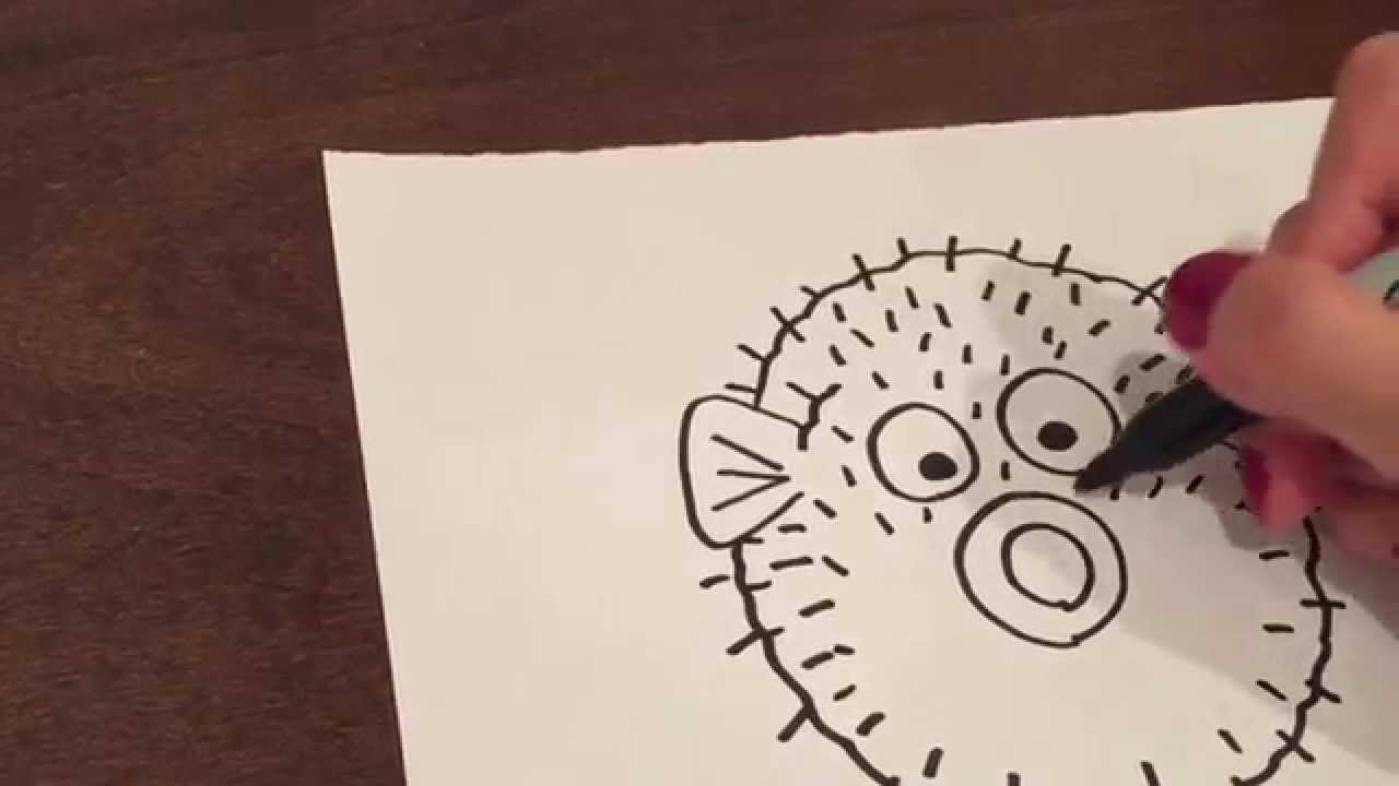 1280x720 Drawing A Puffer Fish - Puffer Fish Drawing