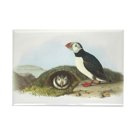 460x460 puffin drawing magnets - Puffin Drawing