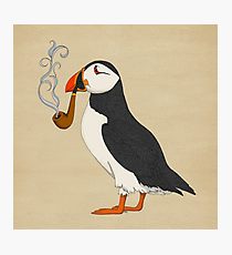 210x230 Puffin Drawing Wall Art Redbubble - Puffin Drawing