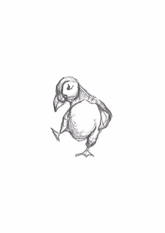 570x806 Puffin Drawing 'dance Like No One Is Watching' Pencil Etsy - Puffin Drawing