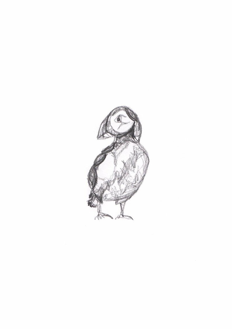 794x1123 Puffin Drawing Sketch Print Etsy - Puffin Drawing
