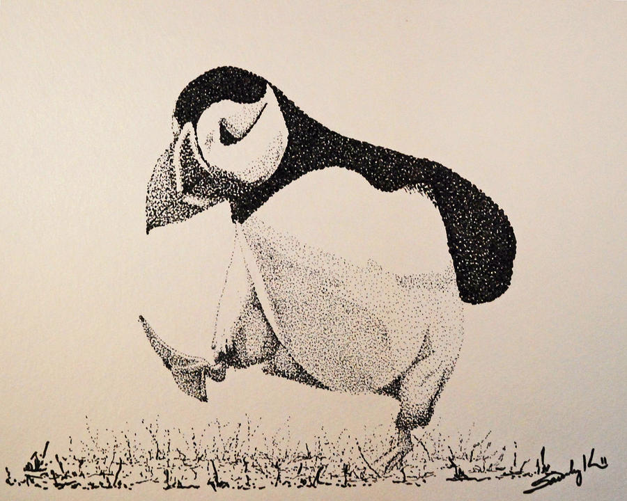 900x720 the thinker drawing - Puffin Drawing