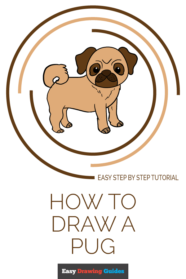 600x900 how to draw a pug - Pug Cartoon Drawing