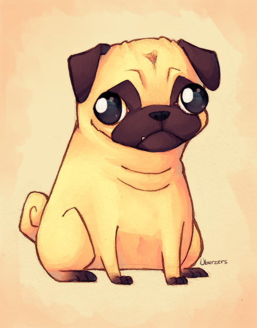 500x638 pug - Pug Cartoon Drawing