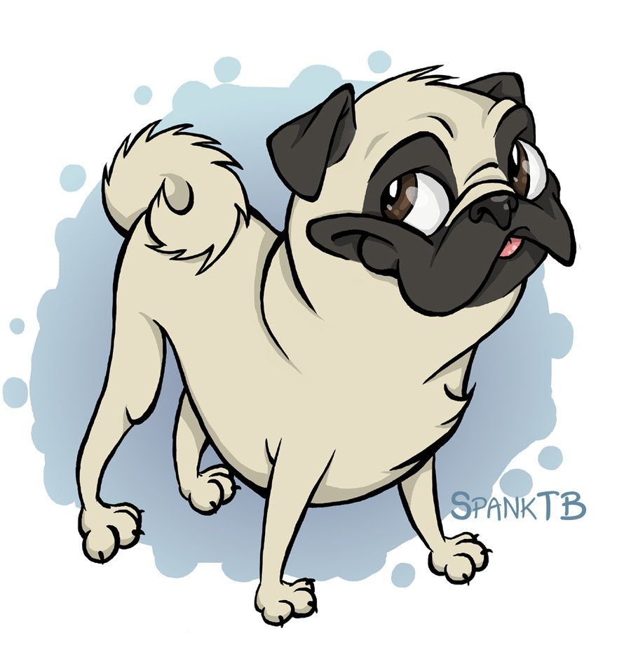 900x919 pug drawings the pug - Pug Cartoon Drawing