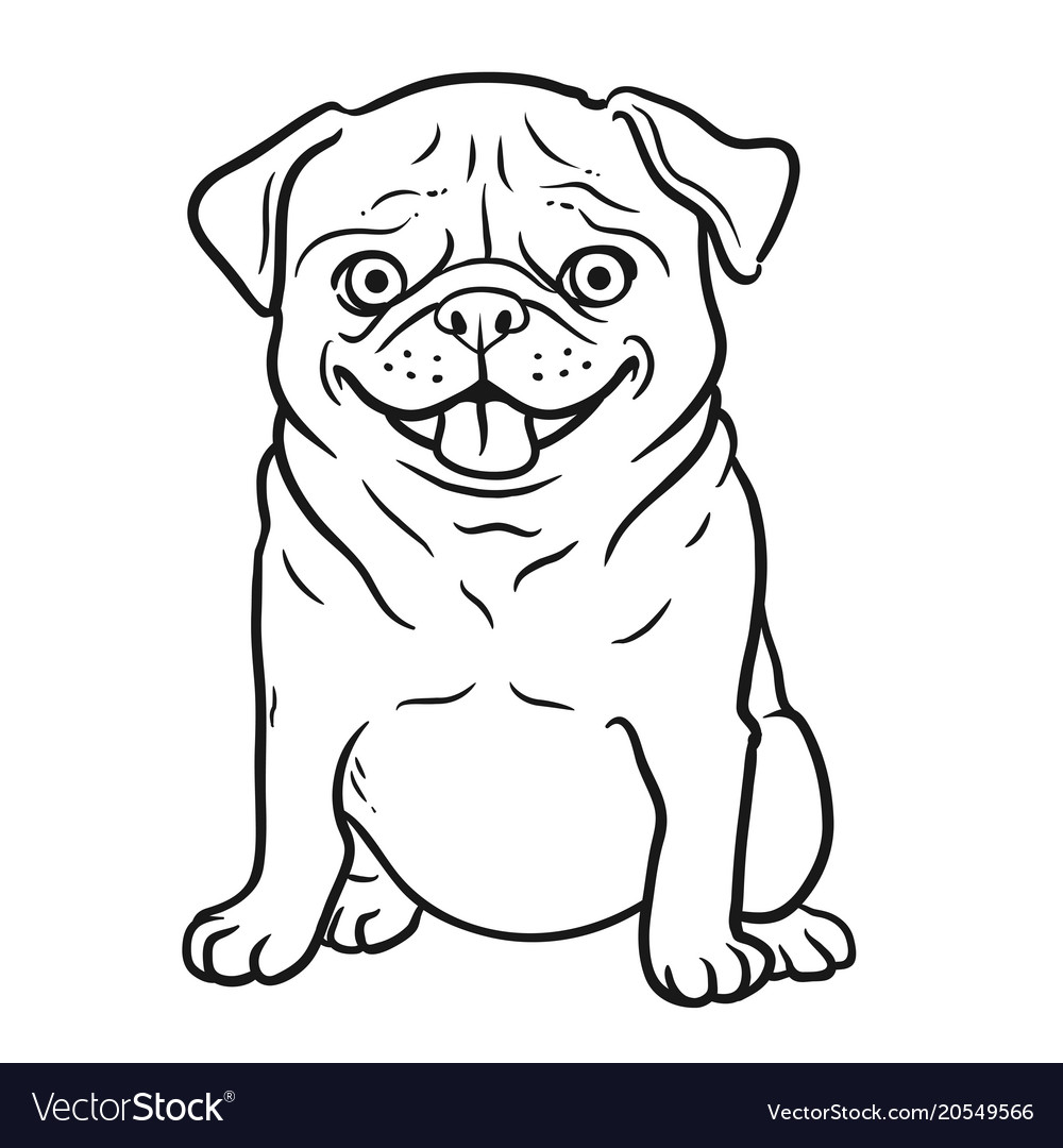 1000x1080 collection of 'cartoon pug drawing' download more than images - Pug Cartoon Drawing