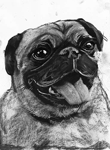 368x500 happy pug dog wall art print, black and white pug - Pug Dog Drawing