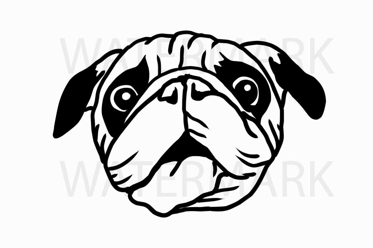 1200x800 pug dog - Pug Dog Drawing