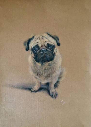 Pug Dog Drawing at PaintingValley.com | Explore collection of Pug Dog ...