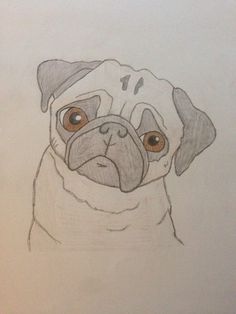 236x314 image result for pug line drawing simple crafts - Pug Drawing