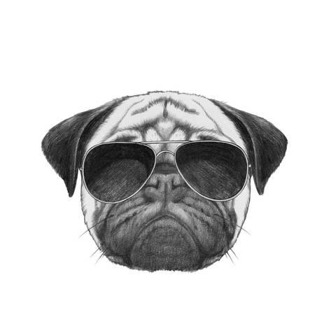 473x473 original drawing of pug dog with sunglasses isolated on white - Pug Drawing