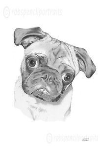 206x300 pug pencil drawing print picture great gift present for pug lover - Pug Drawing