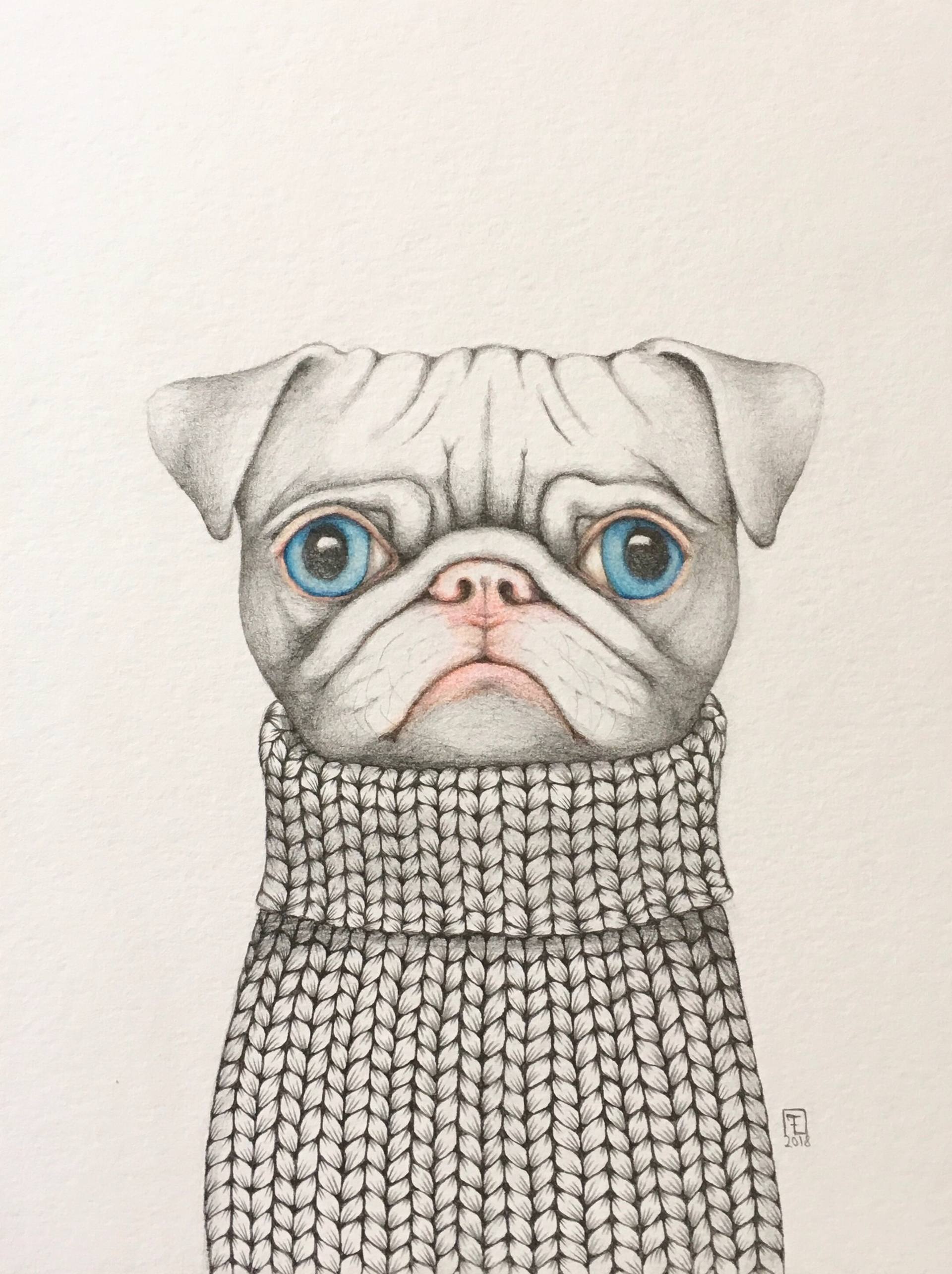 1920x2568 White Pug Drawing - Pug Drawing