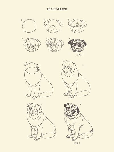 400x533 How To Draw The Pug Life Art Print - Pug Drawing Simple