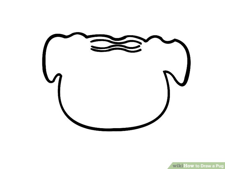 728x546 How To Draw A Pug Steps - Pug Drawing Simple