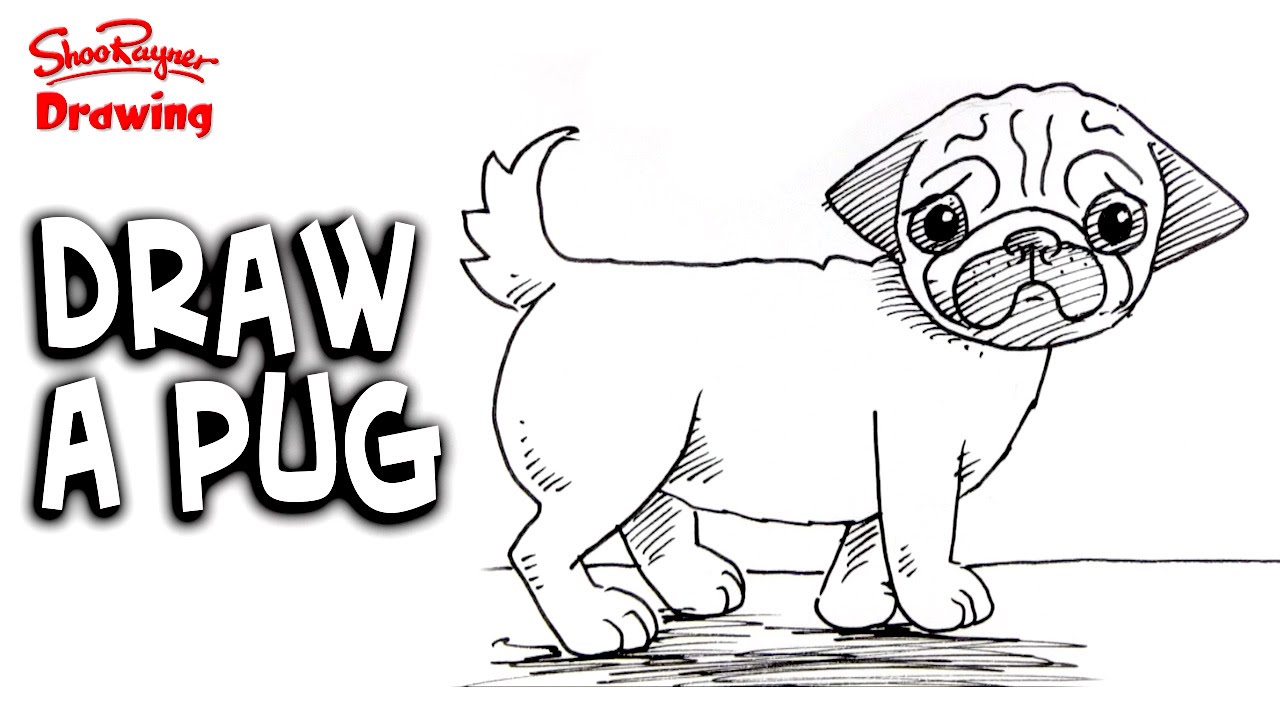 1280x720 How To Draw A Pug - Pug Drawing Simple