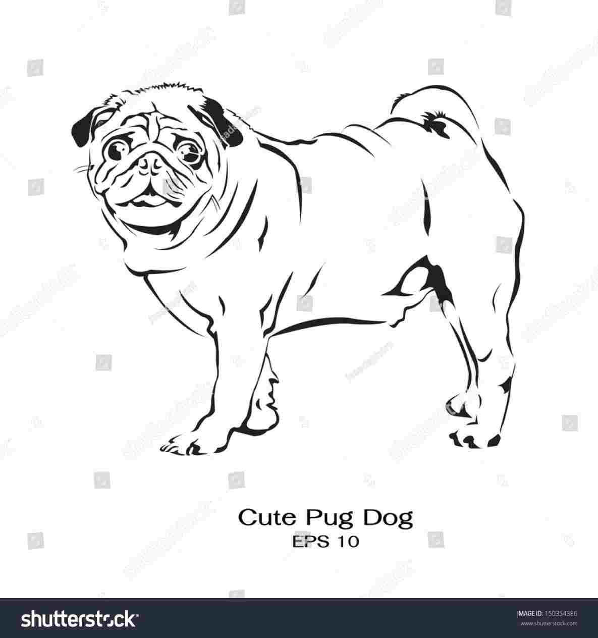 1185x1264 Drawing Dog Standing Stock Vector Royalty Free Rhshutterstockcom - Pug Drawing Simple
