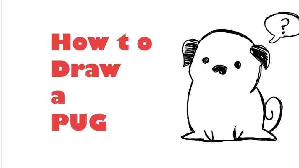 1011x569 Easy Cartoon Pug Drawing - Pug Drawing Simple