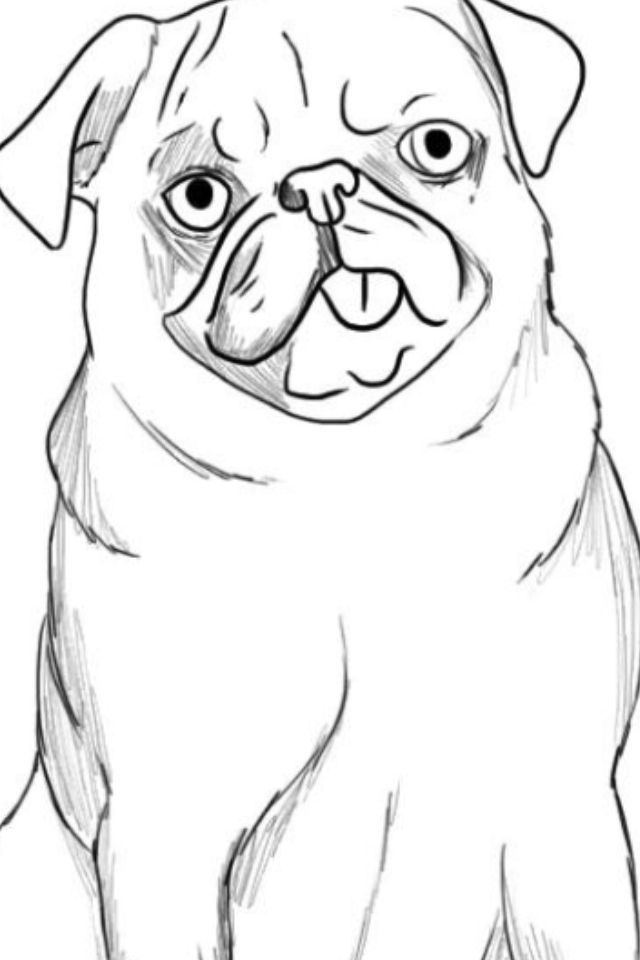 640x960 easy to draw pug that i drew animals and their funny,crazy,and - Pug Drawing Simple