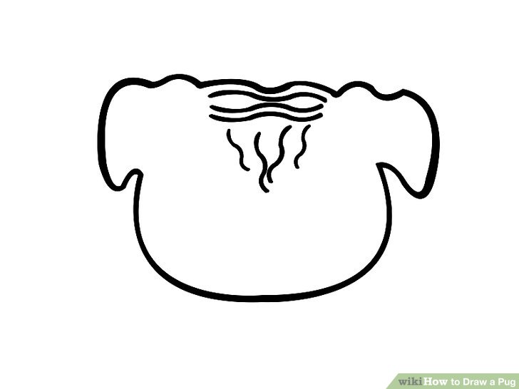 728x546 How To Draw A Pug Steps - Pug Face Drawing