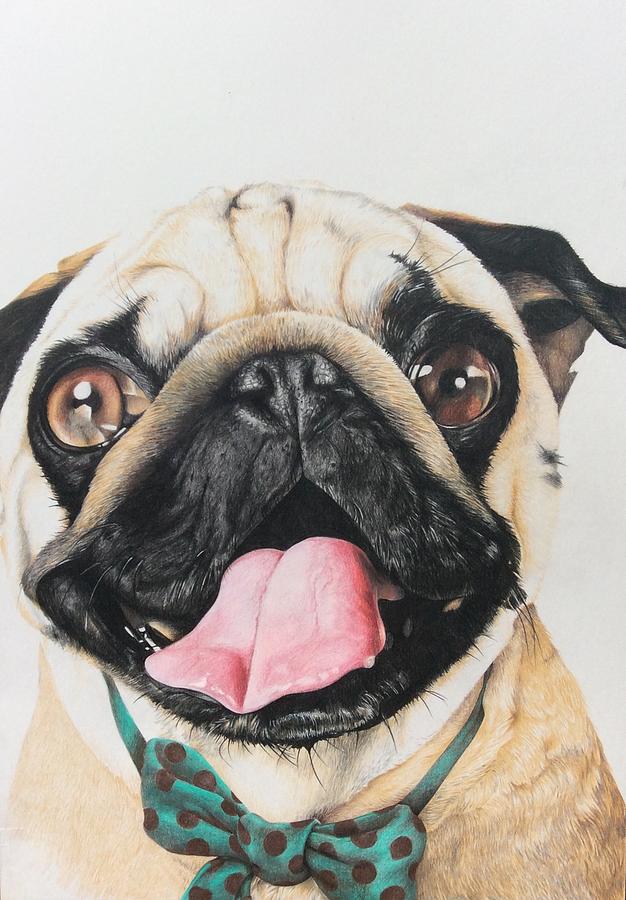 626x900 Pug Face Drawing - Pug Face Drawing