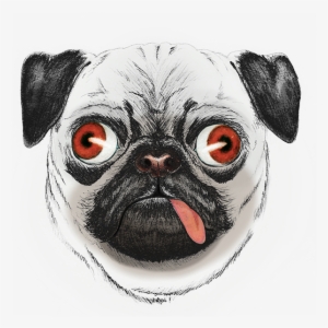 300x300 Pug Face On Behance - Pug Face Drawing