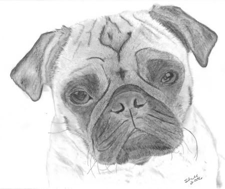 450x379 cartoon pug drawing pug face drawing dog cartoons puppy - Pug Face Drawing