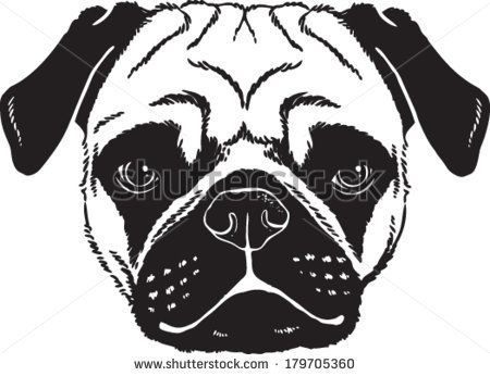 450x346 Pug Face Drawing - Pug Face Drawing