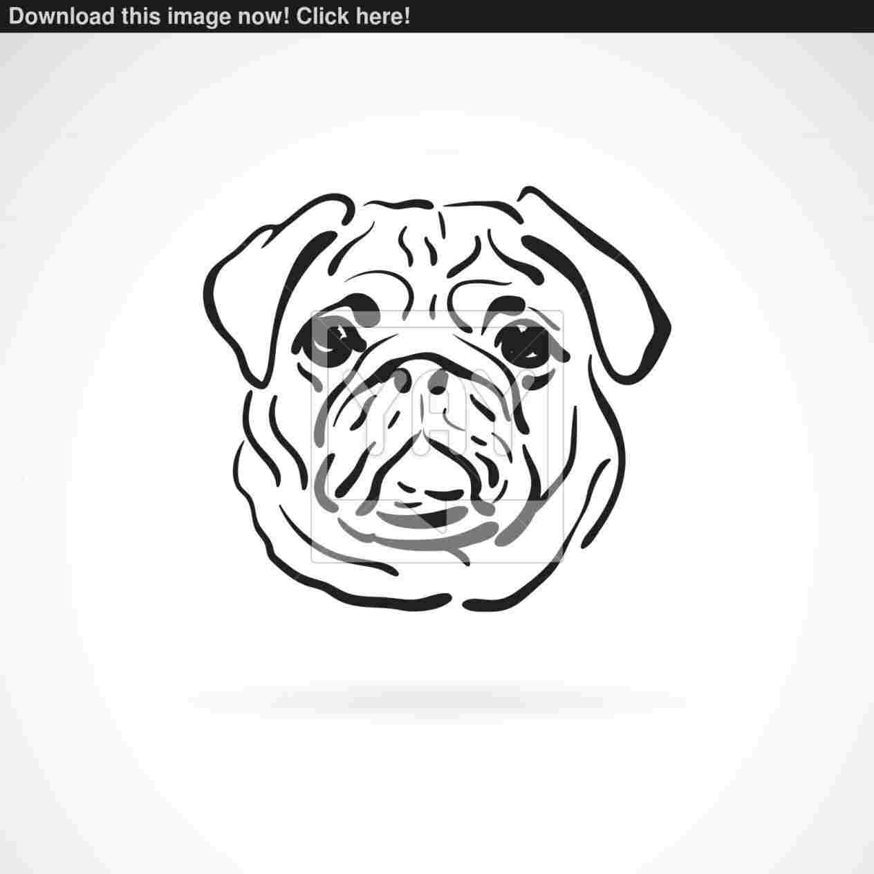 1264x1264 Vector Illustration Or Drawing Of Pug Ez Canvasrhezcanvascom Hand - Pug Face Drawing