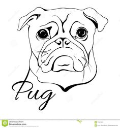 236x252 Huge Collection Of 'pug Line Drawing' Download More Than - Pug Line Drawing