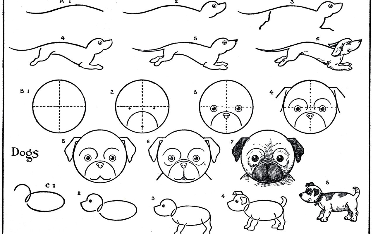 Pug Line Drawing at PaintingValley.com | Explore collection of Pug Line ...