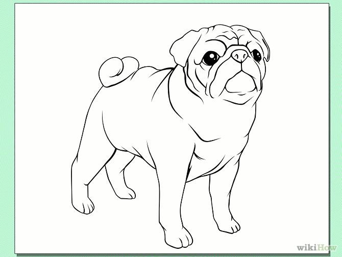670x503 Future Project Pugs, Drawings, Dogs - Pug Line Drawing