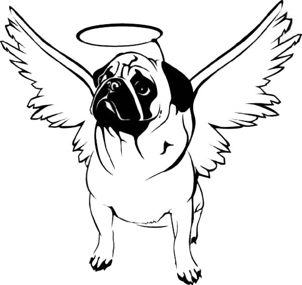 600x566 Drawn Pug Coloring Sheet - Pug Line Drawing
