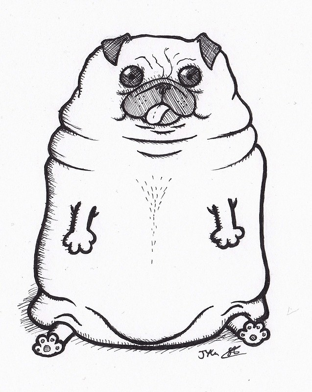 Fat Pug - Pug Line Drawing. 