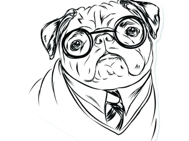 640x480 Free Drawn Pug, Download Free Clip Art - Pug Line Drawing