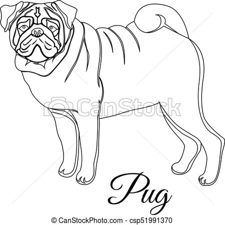 450x449 Huge Collection Of 'pug Outline Drawing' Download More Than - Pug Outline Drawing